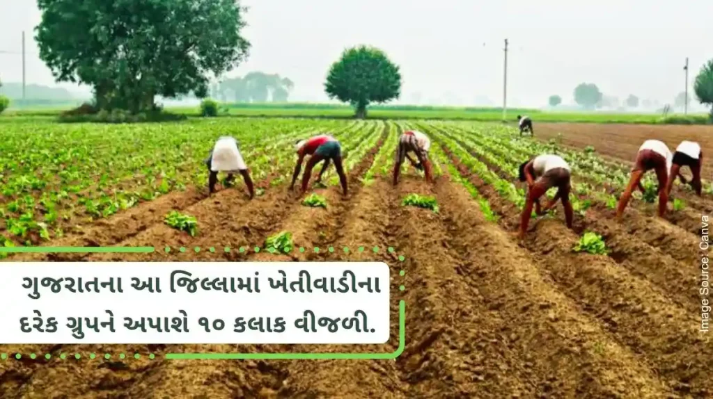 Gujarat government in the interests of farmers, 10 hours of electricity will be given to each group of farmers in this district to save crops.