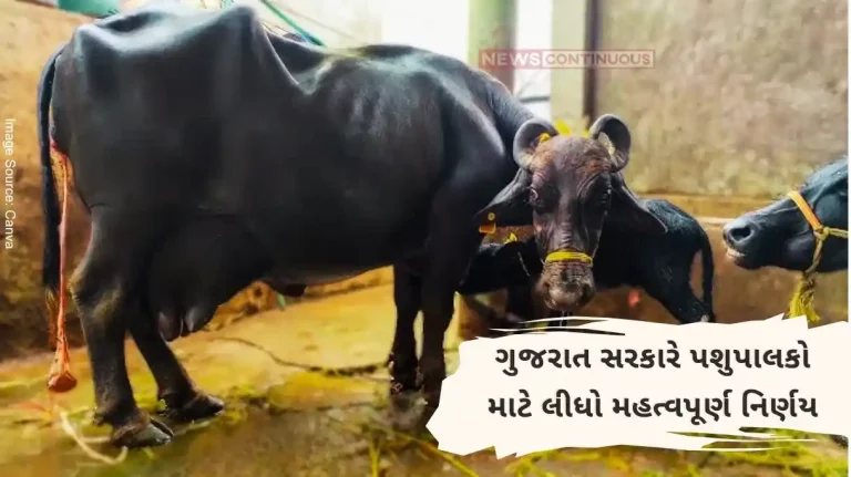 Gujarat government will provide assistance to the animals who get pregnant through IVF.