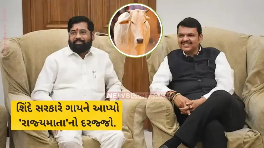 Maharashtra govt declares cow as 'Rajya Mata' ahead of polls, cites its cultural importance