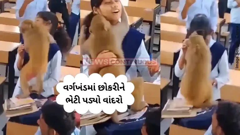 Monkey viral video Monkey's Surprise Entry in Classroom Shocks Students in Madhya Pradesh