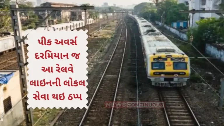 Mumbai Local Harbour Railway Stop Due To overhead wire break At Nerul Station Central railway running late Western Railway Issue Mumbai Local Harbour Railway Stop Due To overhead wire break At Nerul Station Central railway running late Western Railway Issue