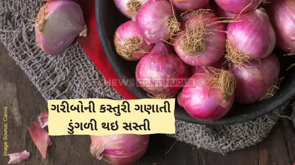Onion Price Government's Subsidised Onion Sale Slashes Prices in Major Cities
