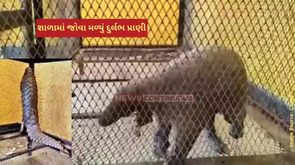 Pangolin in school Pangolin Rescued From Rajgarh School Know About Its Speciality