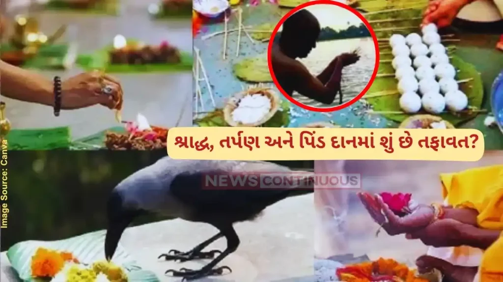 Pitru Paksha 2024 what is the difference between pind daan, shradh and tarpan; know importance