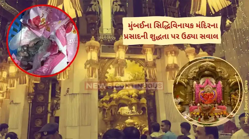 Siddhivinayak Mandir Prasad Siddhivinayak Temple Trust Launches Probe After Viral Video Shows Mice on Prasad