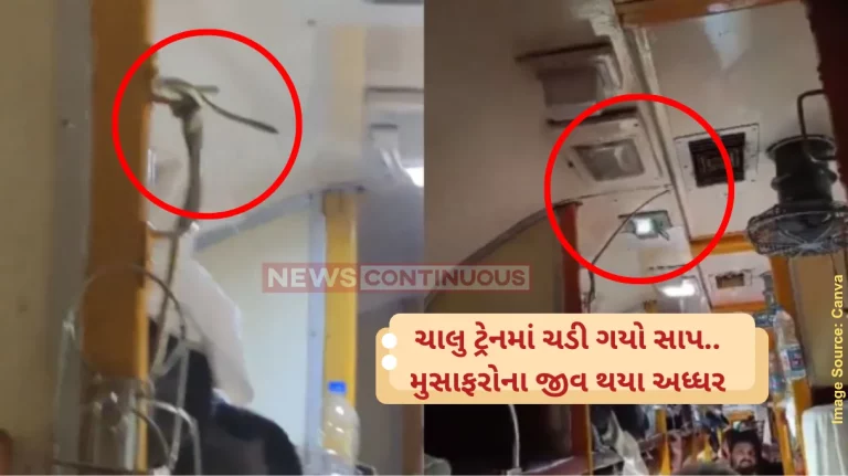 Snake spotted in Train Snake spotted inside AC coach of Garib Rath express, leaves passengers panicking Snake spotted in Train Snake spotted inside AC coach of Garib Rath express, leaves passengers panicking
