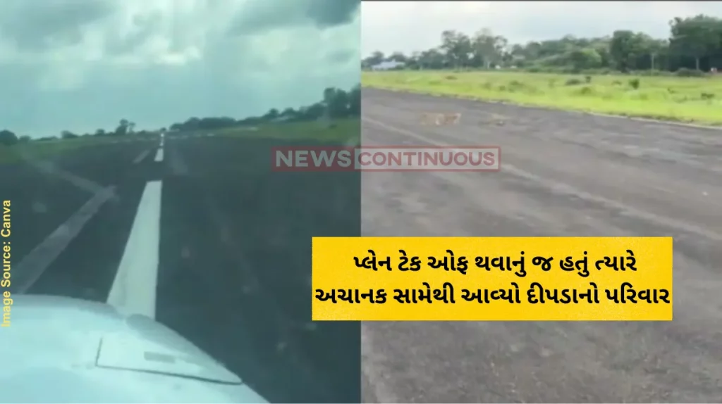 Suktara Airport Leopard Viral Video Shows Playful Leopards Block Runway Just Before Plane's Take-Off