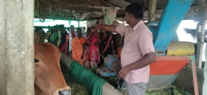 The women pastoralists of this taluk of Surat visited Nandanavan Gaushala and Natural Agriculture Center at sanvalla mahuva