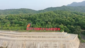 This beautiful butterfly garden at the Statue of Unity, rich in colorful butterflies, has become a tourist attraction, see photos