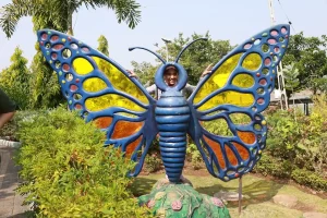 This beautiful butterfly garden at the Statue of Unity, rich in colorful butterflies, has become a tourist attraction, see photos