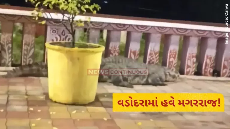 Vadodara News Another 9-ft crocodile rescued from Kalaghoda Vishwamitri bridge in Vadodara