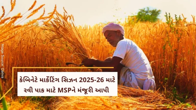 Cabinet approves Minimum Support Price (MSP) for Rabi crop for marketing season 2025-26 Cabinet approves Minimum Support Price (MSP) for Rabi crop for marketing season 2025-26