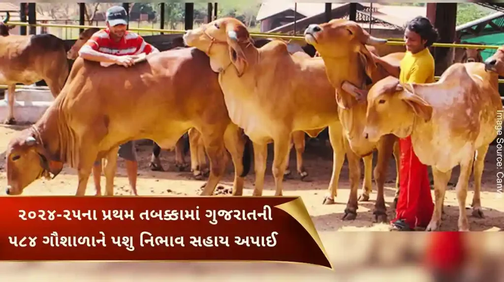 Cattle maintenance assistance provided to more than 500 cowsheds under Mukhyamantri Gau Mata Poshan Yojana Gujarat