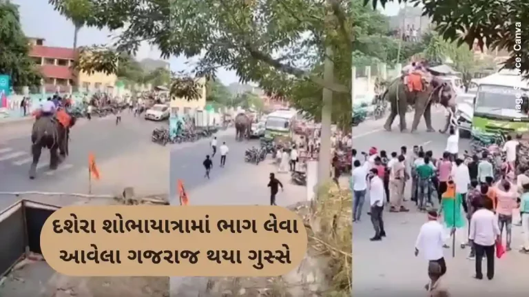 Elephant Dussehra Elephant loses control during Dussehra fair in Bihar, damages cars