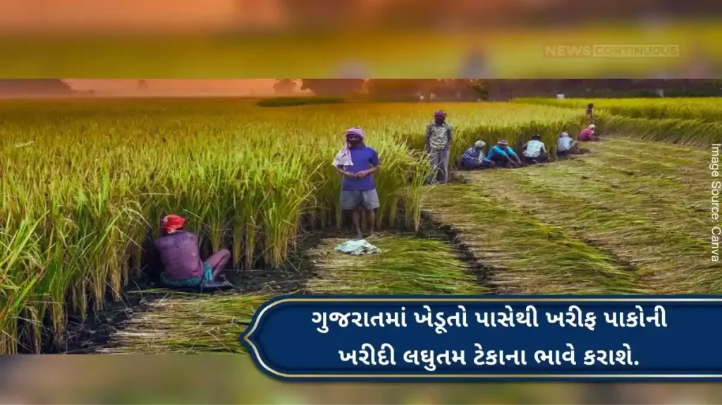 Farmers of Gujarat got a Diwali gift! Kharif crops will be procured at the minimum support price.