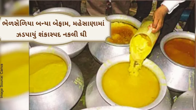 Festival season in Gujarat has become rampant, suspected fake ghee worth 1.39 crores has been seized from this city.