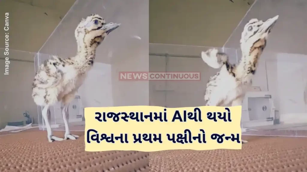 Great Indian bustard Great Indian Bustard, Highly Endangered Species, Hatches Chick In Jaisalmer