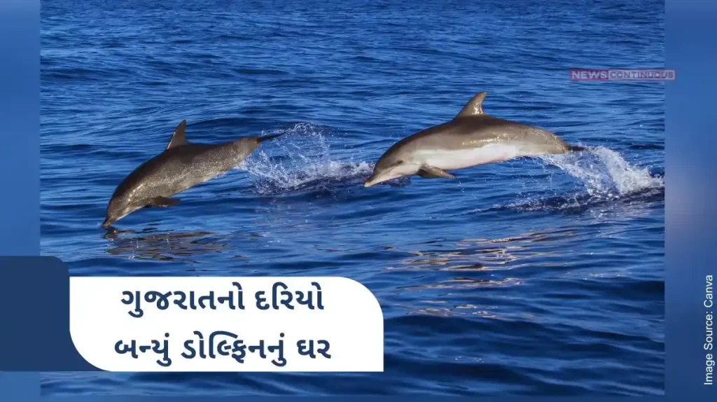 Gujarat's sea became the home of dolphins, 680 dolphins were recorded in the state's 4,087 sq km marine area.