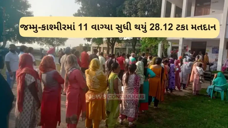 Jammu Kashmir Election 2024 Jammu Kashmir assembly election 2024 , 28.12 percent voter turnout recorded till 11 am