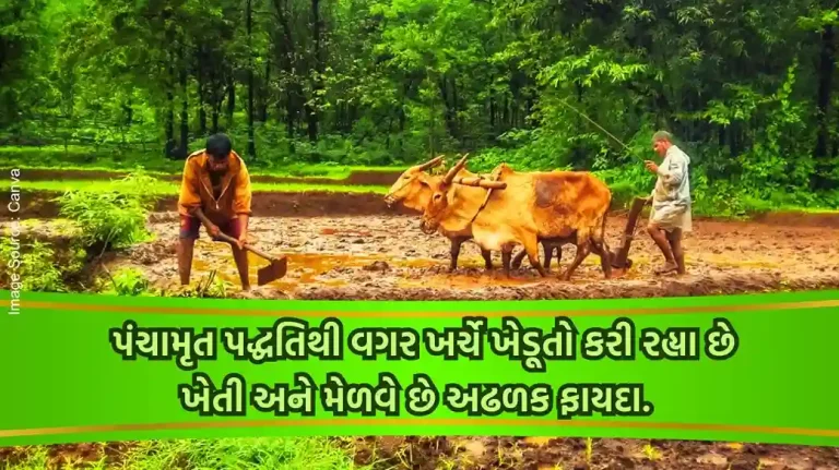Natural agriculture method is one the benefits are many the farmers get a lot of benefits from Panchakavya without any cost.