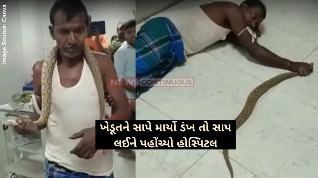 Russell Viper Snake man bitten by 5th most dangerous snake in world he taken to hospital holding his hand