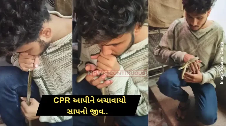 Snake CPR Video Gujarat man saves snake’s life by performing CPR Snake CPR Video Gujarat man saves snake's life by performing CPR