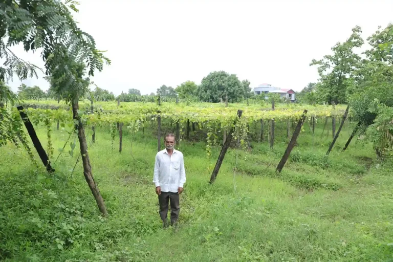 the tribal farmers of Surat got relief in agriculture by getting the benefit of Sadhan Sahay Yojana Surat