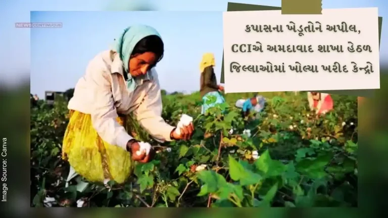 Appeal to cotton farmers, CCI 30 buying centers opened in so many districts under Ahmedabad branch. Appeal to cotton farmers, CCI 30 buying centers opened in so many districts under Ahmedabad branch.