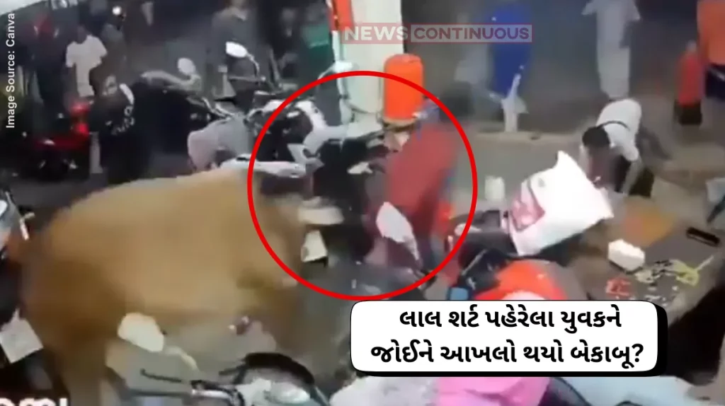 Bull Attack Video Bull Attacks Man Wearing Red Shirt In Bike Agency Destroys Vehicles