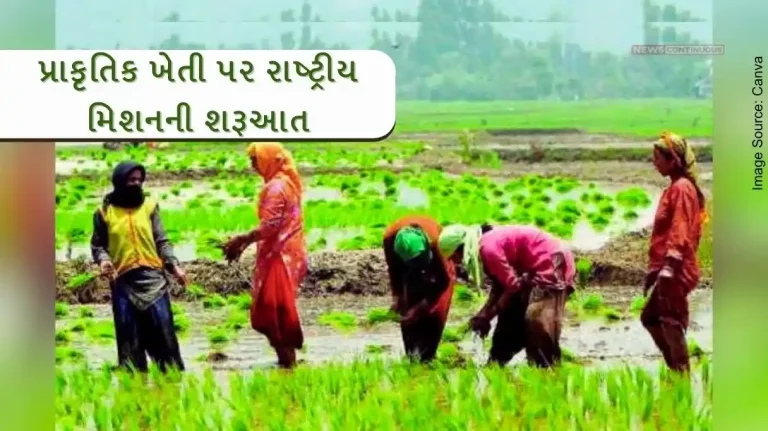 Cabinet approved launch of the NMNF as a scheme under the Ministry of Agriculture and Farmers' Welfare