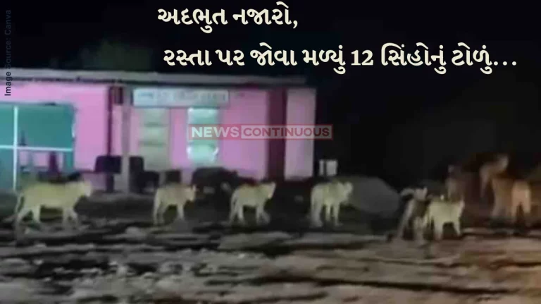 Lion Family Amreli Majestic pride of 12 lions cross highway in Gujarat’s Amreli. Rare video is viral Lion Family Amreli Majestic pride of 12 lions cross highway in Gujarat's Amreli. Rare video is viral