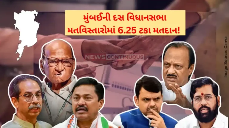 Maharashtra election 2024 Maharashtra election 2024 see tentative voting percentages in mumbai 10 constituency