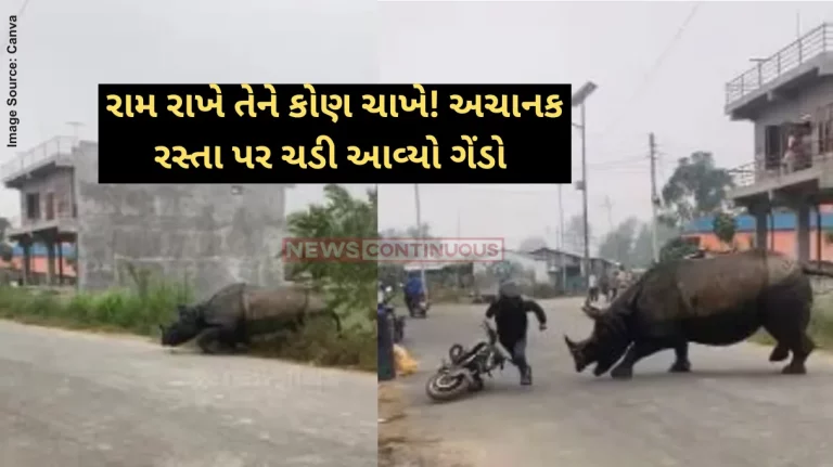 Rhino attack Rhino attacks on a Biker and some people around