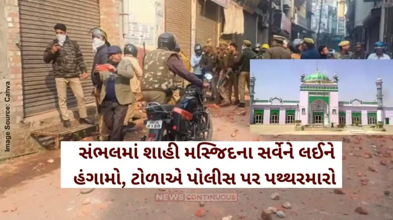 Sambhal Jama Masjid Survey Clashes erupt in UP's Sambhal over mosque survey