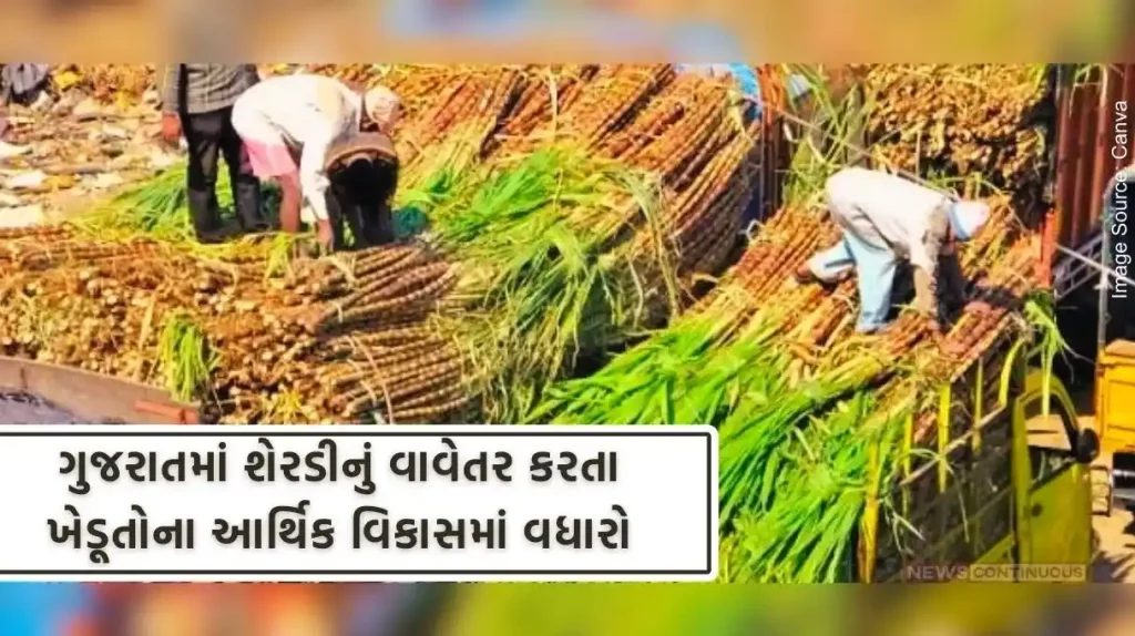 Significant increase in economic and social development of sugarcane farmers in Gujarat