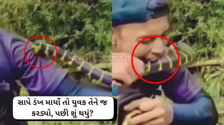 Snake bite When a snake bit him this is how the man took revenge you will be stunned after watching the viral video