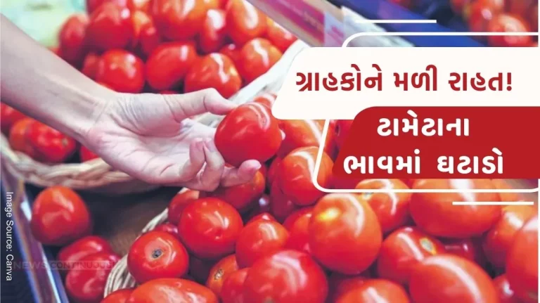 Tomato prices fall by over 22 per cent in one month due to good supply Department of Consumer Affairs india