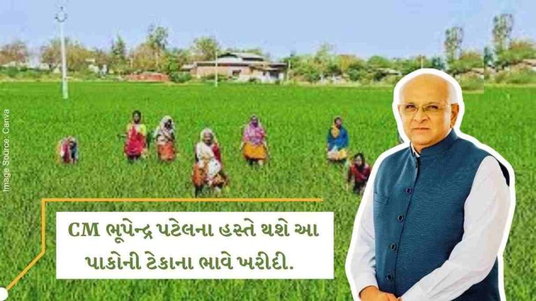 purchase of kharif crop will begin at support price by bhupendra patel in gujarat tommorrow