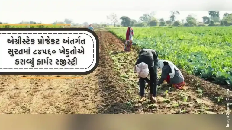 84560 farmers have done farmer registry in Surat under Agristack project