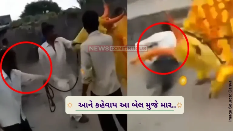 Bull Attack Video a man dancing in front of a bull gets hits badly watch funny viral video