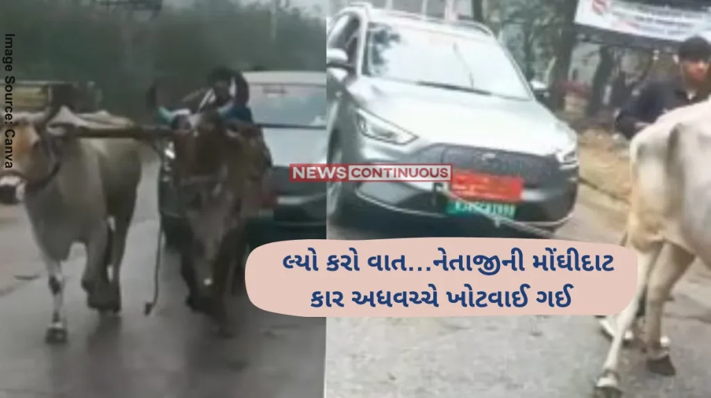 Electric car Yoke of Oxen Used To Pull Anil Singh Medtia's Electric Car After It Breaks Down in Didwana