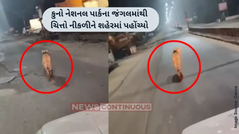 Kuno National Park Kuno Cheetah Strays Out of National Park, Movement Being Monitored by Forest Team Kuno National Park Kuno Cheetah Strays Out of National Park, Movement Being Monitored by Forest Team