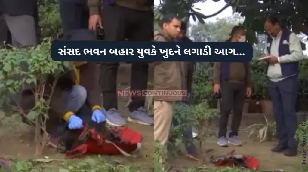 Parliament Suicide Attempt Man tries to burn himself near Parliament