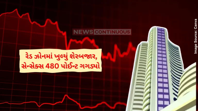 Share Market Update Sensex off day's low, down 100 pts, Nifty below 24,100