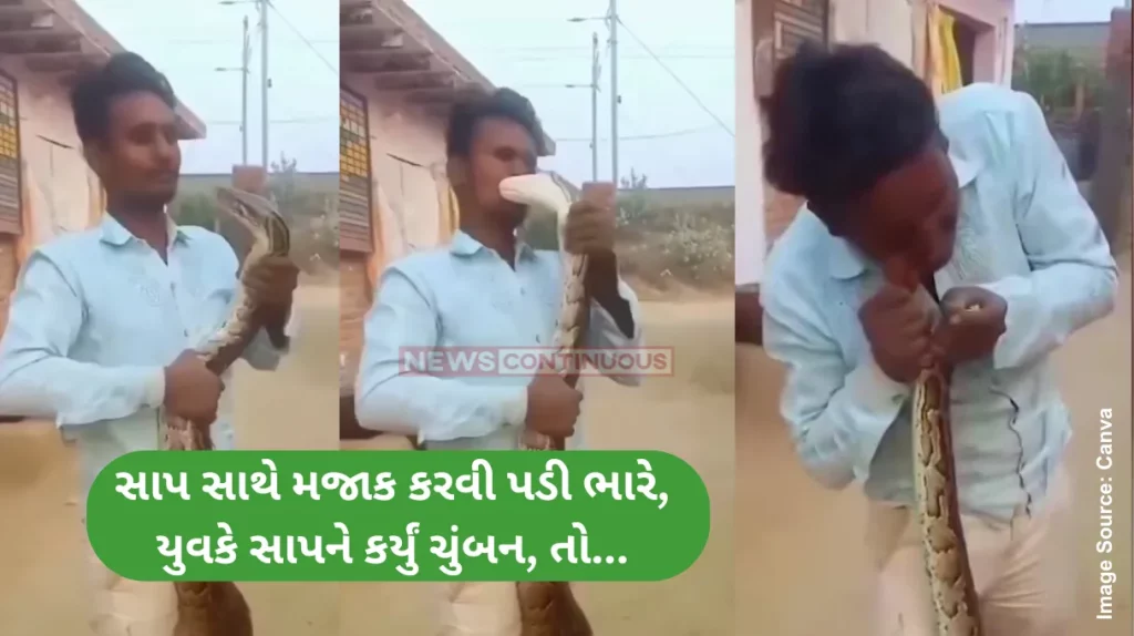 Snake Bite Video Man Kissing King Cobra On Head Leaves Internet Terrified