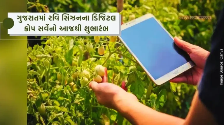 Today is the date of digital crop survey of Rabi season in Gujarat. Starting from 15 December