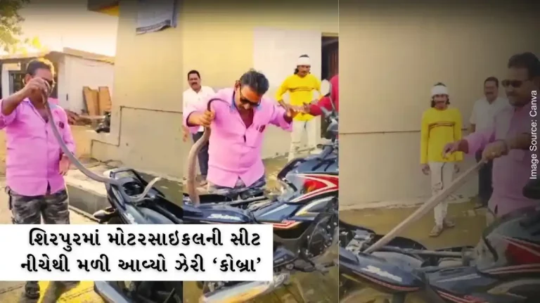 Venomous 'cobra' found under motorcycle Seat in Shirpur, villagers scared by sudden incident