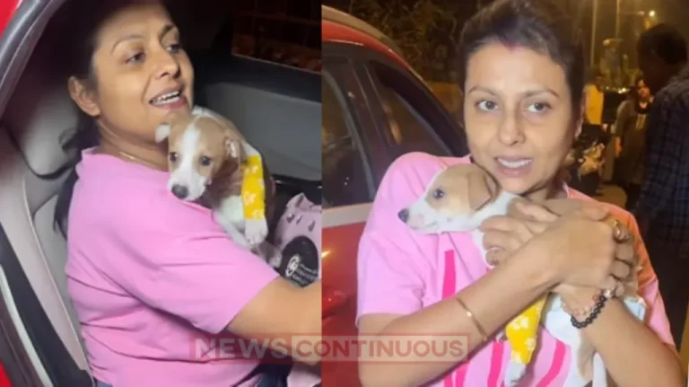 jaya bhattacharya rescues a raped puppy demands justice jaya bhattacharya rescues a raped puppy demands justice