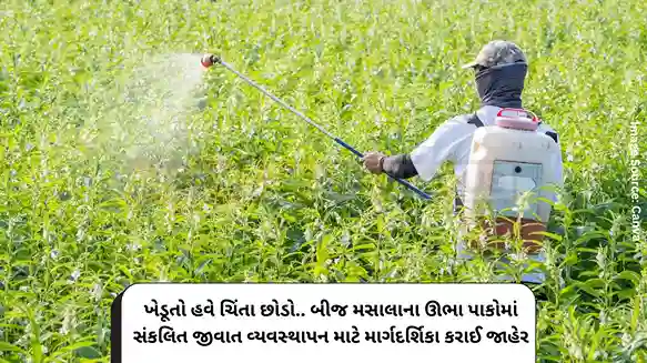 Agricultural News Farmers can now stop worrying.. Guidelines for integrated pest management in standing crops of seeds and spices have been released