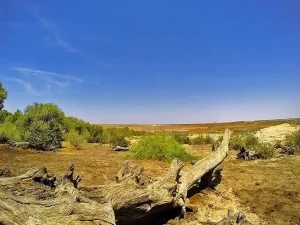 Biodiversity Heritage Site this village in Kutch gets recognition as a 'Biodiversity Heritage Site'